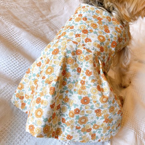 犬服ワンピース　花柄オレンジ