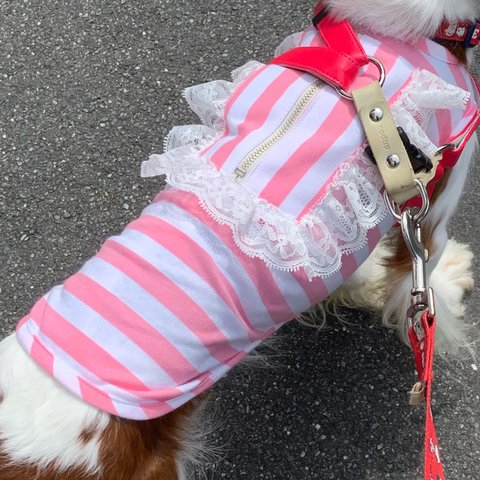 犬服クールニット防蚊予防保冷剤ポケット付きピンクストラップタンクトップ夏物新作💕