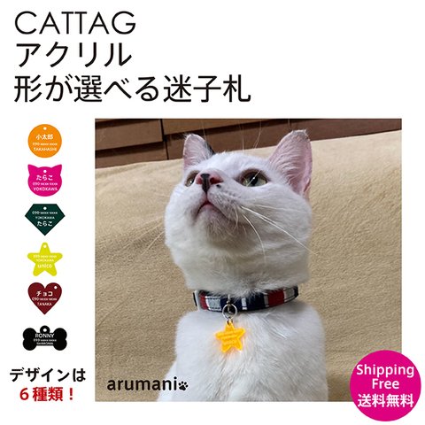 超軽量 デザインが選べる猫用迷子札 国産アクリル使用で安全 各サイズあり 名札 ペットグッズ 犬用 犬 迷子札 野良猫 散歩 お出かけ 可愛い おしゃれ 名入れ オリジナル pet 首輪 ネームプレー