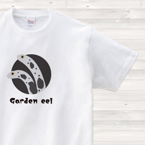 【送料込】チンアナゴ 白 Tシャツ 英語 カラー【受注生産】