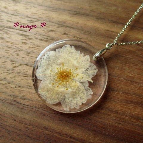 【SALE!】桜の押し花レジンペンダント(円・花びらのみ)