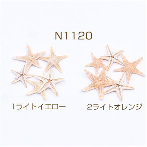 N1120-2 60個 シェルパーツ ヒトデ 天然素材 3X【20ヶ】