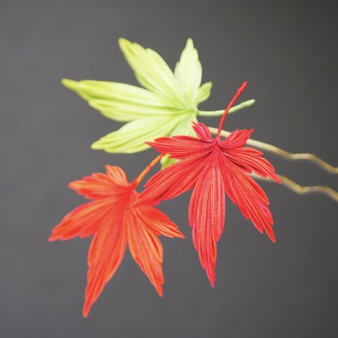 紅葉