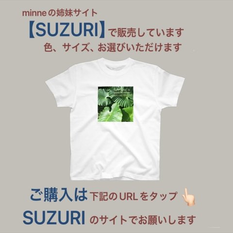 【SUZURI】で販売中　Tシャツ　クワズイモ 〜Beautiful nature〜