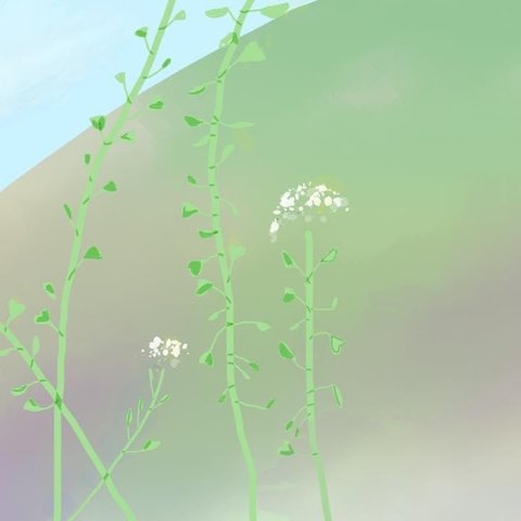 夢のぺんぺん草