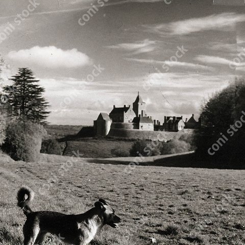 昔のフランスのお城のある風景のイメージ、犬、古びた写真、レトロ、モノクロ、アート　conistock_18652
