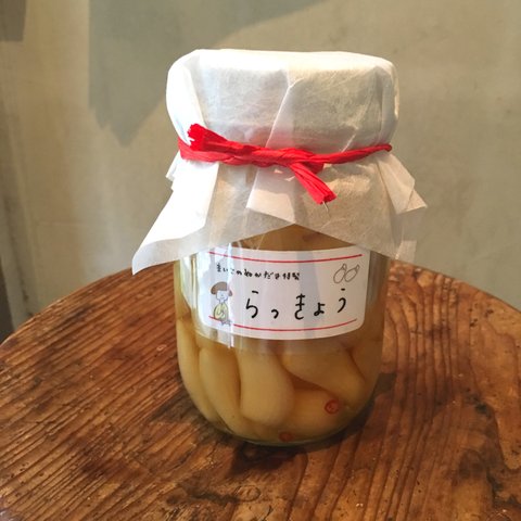 [sale]数量限定　らっきょうM　