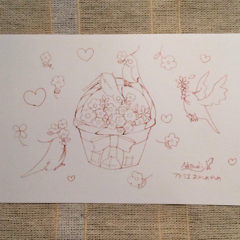 塗り絵ハガキ オカメインコ&花かご