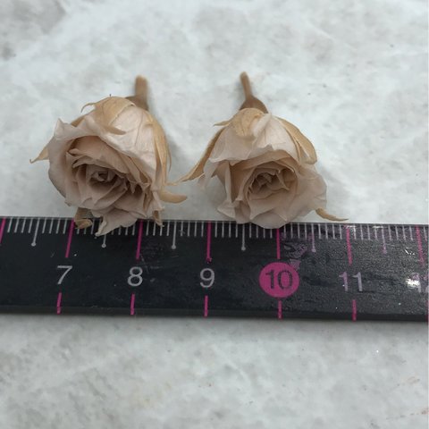 マイクロローズヌードピンク２輪❣️ハーバリウム花材プリザーブドフラワー