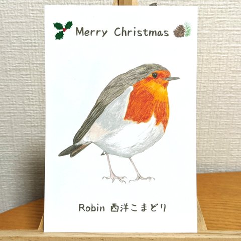 ロビン(西洋こまどり)のクリスマスカードB 同柄3枚組【変更可能】