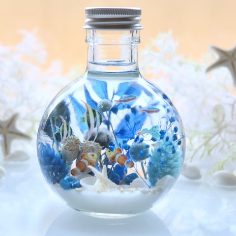 青いサンゴの海世界/球体ガラス瓶/熱帯魚/ハーバリウム