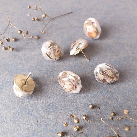 《押しピン》Seashell botanical pushpin ∗︎*ﾟ