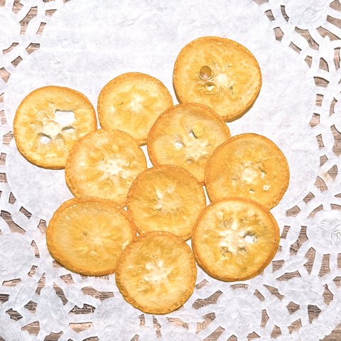 金柑  ( たまたま ) 押しフルーツ 素材 10枚 レモン みかん ボタニカル素材 キャンドル ハーバリウム レジン