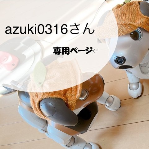 azuki0316さん専用ページ（みかん帽子）