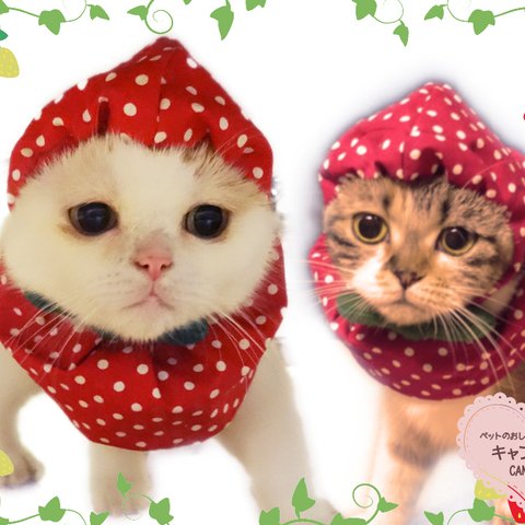 猫用品 🍓 いちご帽子 ケープ 2点セット 🌟７㎜ドット ♬ 猫 犬 ペット用