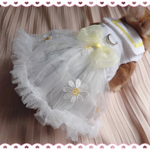 夏のマーガレット花畑🌼*･ドレス ペット服 ハーネス