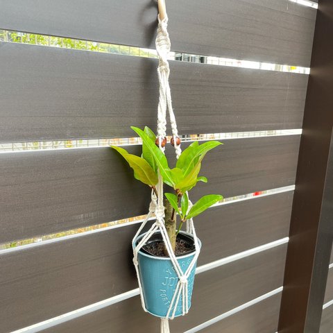マクラメプラントハンガー　macrame plant hanger