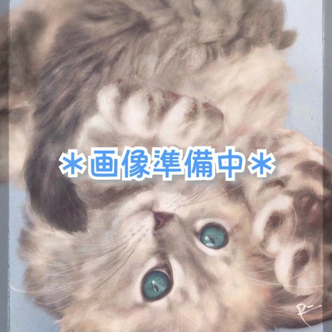 ローマ数字サークル✱チャーム〖アクセサリー首輪〗ネコちゃん向き🐾