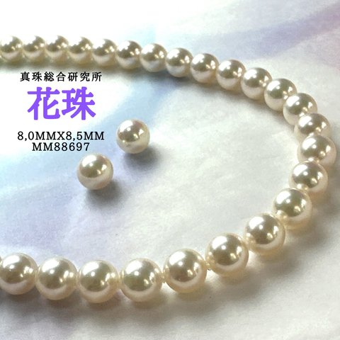 真珠総合研究所花珠8,0mmx8,5mm SET