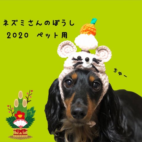 干支☆ネズミさんの帽子☆2020年《ペット用》