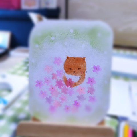 猫さんと桜✨