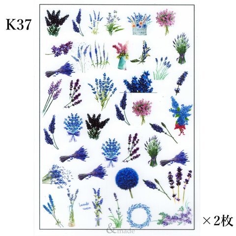 在庫限り【2枚】K37：ラベンダー　レジン封入シート　カラー　フィルム　ボタニカル　紫　植物　花