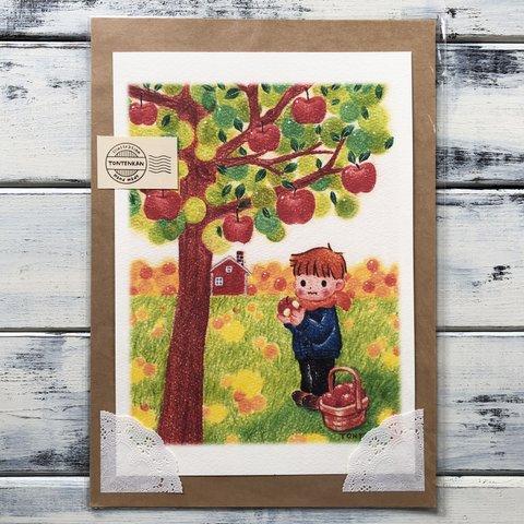 Apple picking ポスターno.182