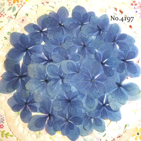 ♡new♡ 作家様必見♡可愛い紫陽花の押し花セット♡