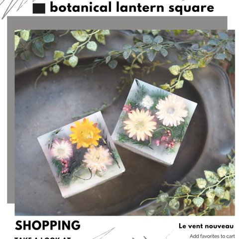 botanical lantern・square