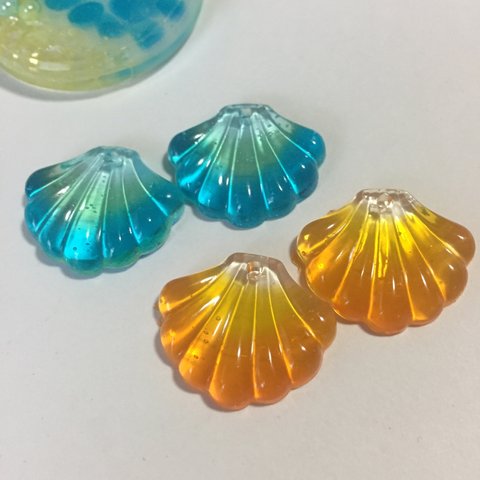 まだまだ夏！涼しいシェル＆サンセットシェル☆