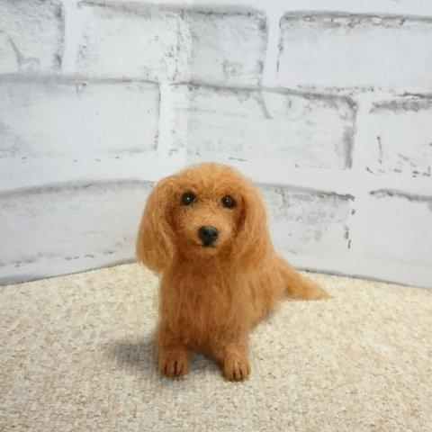 羊毛フェルト  犬  ミニチュアダックスフント 