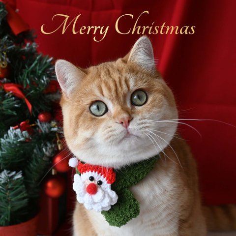猫マフラー つけ襟 首輪 犬マフラー 猫襟 首輪 クリスマス サンタクロース