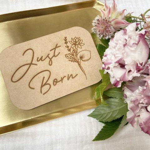 【送料込】Just born 月齢フォト　プレート　ニューボーンフォト　木製　レターバナー