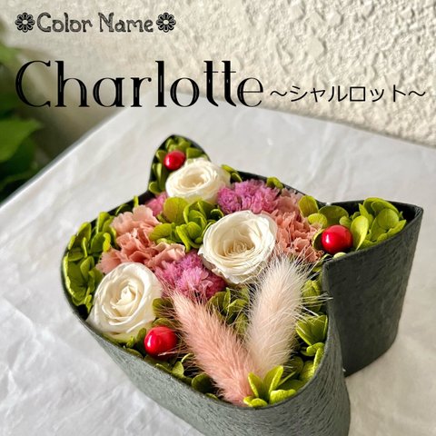 こねこばこ「Charlotte～シャルロット～」オリジナル猫型フラワーボックス miniサイズ プリザーブドフラワー