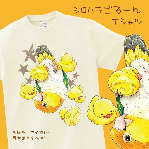 【L】シロハラごろーんTシャツ/アイボリー