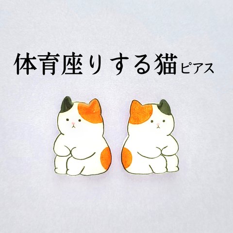 猫 ピアス ✱おもしろピアス ✱ ハンドメイドピアス