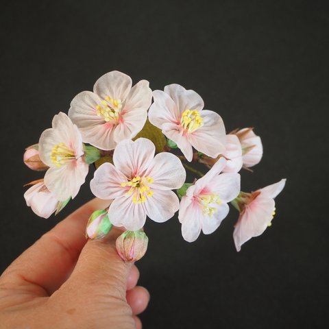 rai…様専用 五分咲き桜のブローチ仕立て