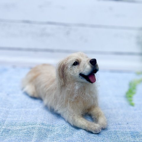 オーダー♡ゴールデンレトリバー♡世界でたったひとつ♡うちの子をずっとそばに♡写真から製作