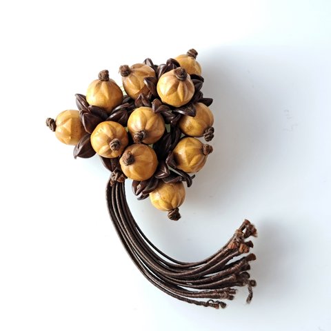 Vintage 1930's Nut Brooch Wood Beads Plastic Natural Style