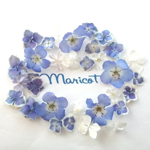 🖤 青と白の小花mix 🖤【maricot 10】