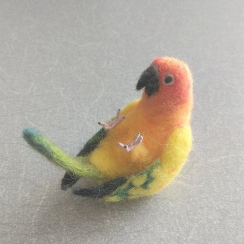 コガネメキシコインコ　起き上がりこぼし？！