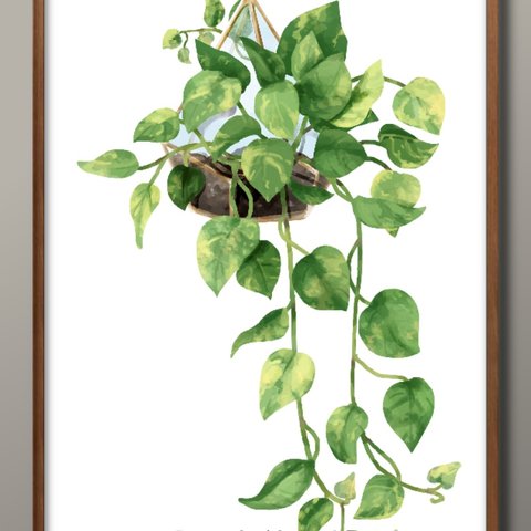 1-7706■全画ポスター　絵画　A3サイズ　『ボタニカル　観葉植物』　アート　イラスト　デザイン　上級マット紙採用　北欧