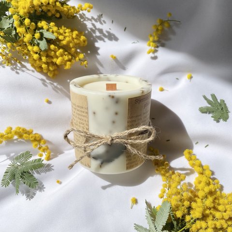 botanical mimosa candle