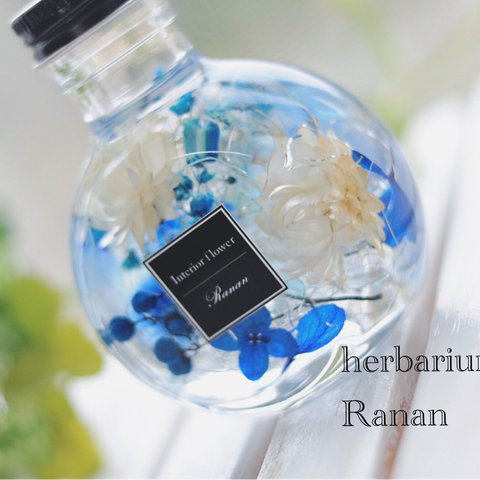  再販❁ 葵*:.｡❁Blue＆Blue❁❀herbarium❁❀猫びん