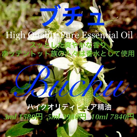【ホットテント族の香水】ブチュ精油3ml