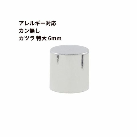 [ 4個 ] サージカルステンレス ［ カン無し ］ * カツラ * 特大 6mm [ 銀 シルバー ] 紐留め 革紐 エンドパーツ 金属アレルギー対応 M1-05