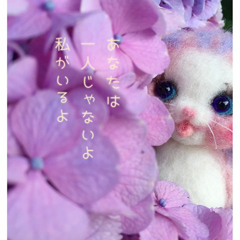 A19にゃん🐈  あなたは1人じゃないよ 私がいるよ🌷メルティカカード🌷🍓2枚で1セット🍓