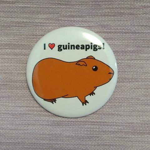 I ♡ guineapigs 缶バッジ(茶モル)