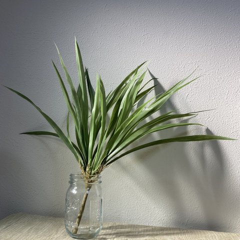 [送料込み] キンリョウヘン　フェイクグリーン　根付き　光触媒 人工観葉植物　