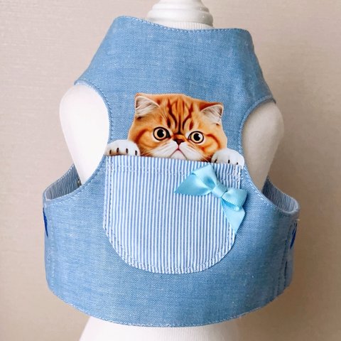  新作ペット用ハーネス🐈‍⬛これからのお散歩シーズンにいかがでしょう😺🐶